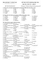Đề thi thử đại học môn anh ( kèm đáp án ) - Đề số 10 pdf
