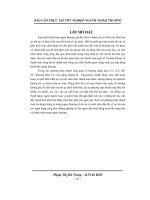 Báo cáo thực tập tại ngân hàng thương mại cổ phần hàng hải Việt Nam chi nhánh MSB Ngô Quyền