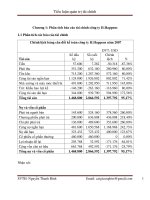 Phân tích báo cáo tài chính công ty H.Happens pdf