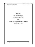 Luận văn Cơ sở lý luận về dự án đầu tư và đánh giá hiệu quả tài chính dự án đầu tư