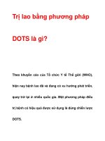 Trị lao bằng phương pháp DOTS là gì? ppsx