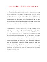 SỰ XUNG ĐỘT CỦA CÁC NỀN VĂN HÓA TẠI HOA KÌ pdf