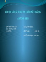 BÀI TẬP LỚN KĨ THUẬT AN TOÀN MÔI TRƯỜNG BKHN ppt