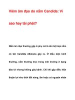 Viêm âm đạo do nấm Candida pot