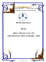 thực trạng cán cân thanh toán việt nam 2009 – 2010