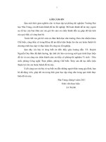 Nghiên cứu khả năng chống oxy hóa của hỗn hợp gelatin thủy phân bằng nước dứa và thử nghiệm sản xuất đồ hộp nước dứa – gelatin