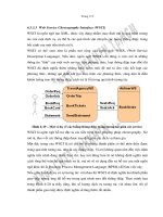 Nghiên cứu kiến trúc hướng dịch vụ và đối tượng - 6 docx