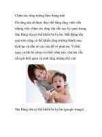 Chăm sóc răng miệng theo tháng tuổi ppsx