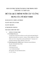 ĐỀ TÀI: QUÁ TRÌNH NUÔI CẤY VÀ ỨNG DỤNG CỦA TẾ BÀO VERO pptx