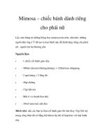 Mimosa – chiếc bánh dành riêng cho phái nữ pot