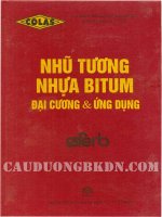 nhũ tương nhựa Bitum - Đại cương và ứng dụng phần 1 pptx