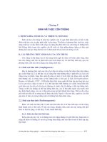 Giáo trình - Côn trùng học đại cương -chương 5 ppt