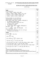 Đáp án đề thi học sinh giỏi hóa học 12 tỉnh Thái Bình 2009-2010 docx