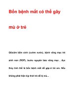 Bốn bệnh mắt có thể gây mù ở trẻ potx