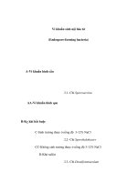 Vi khuẩn sinh nội bào tử (Endospore-forming bacteria) pps