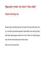 Nguyên nhân và cách ''''tiêu diệt'''' mụn trứng cá pdf