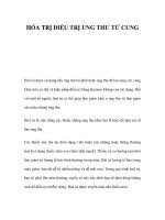 HÓA TRỊ ĐIỀU TRỊ UNG THƯ TỬ CUNG ppsx