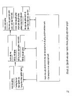 Kỹ thuật chọn tạo và trồng cây Cam Quýt part 8 pps