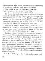 Cây có củ và kỹ thuật thâm canh - Tập 6 part 4 pot