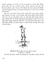 Cây sắn từ cây lương thực chuyển thành cây công nghiệp part 5 potx