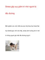 Stress gây suy giảm trí nhớ người bị tiểu đường pot