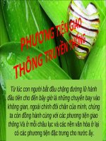 Phương tiện giao thông truyền thống docx