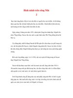 Bình minh trên sông Nile 2 ppt