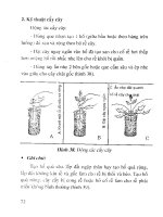 Kỹ thuật vườn ươm cây rừng ở hộ gia đình part 7 doc