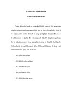 Vi khuẩn lưu huỳnh màu lục (Green sulfure bacteria) ppt