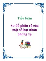 Tiểu luận: Sơ đồ phân rã của một số hạt nhân phóng xạ docx