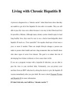 Living with Chronic Hepatitis B docx