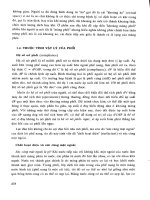 Mối quan hệ tương quan giữa điện thế khuếch tán và hiệu nồng độ ion p4 ppt