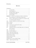 Biện pháp mở rộng cho vay theo hạn mức tín dụng tại ngân hàng thương mại cổ phần Quốc tế VIBank