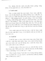 Cây nhãn và kỹ thuật trồng part 3 ppsx