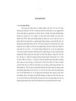 Hạn chế rủi ro trong hoạt động tín dụng của chi nhánh ngân hàng nông nghiệp và phát triển nông thôn tỉnh Ninh Bình