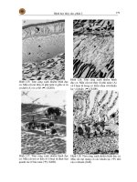 Bệnh học thủy sản phần 2 - Bệnh truyền nhiễm part 8 ppt