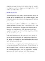 Giáo trình sự hình thành của thị trường chứng khoán trong những ngày đầu phát triển p5 ppt