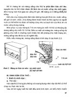 Cẩm nang trồng trọt và chăn nuôi part 7 doc