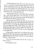 109 Bệnh gia cầm và cách phòng trị part 4 docx