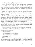 Cây sắn từ cây lương thực chuyển thành cây công nghiệp part 2 pps