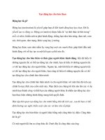 Tạo động lực cho bản thân pot