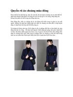 Quyến rũ áo choàng mùa đông ppsx