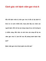 Cảnh giác với bệnh viêm gan virut A potx