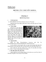 Phần hai: BỆNH CÂY CHUYÊN KHOA doc