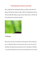 10 cách giúp phát huy tiềm lực của bản than pot