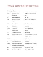 ƯỚC LƯỢNG KÊNH TRONG OFDM CỦA WIMAX 1 pps