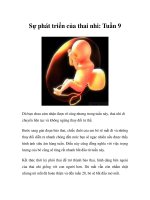 Sự phát triển của thai nhi: Tuần 9 pptx