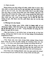 Hướng dẫn áp dụng tiến bộ kỹ thuật trong lâm nghiệp part 2 pot