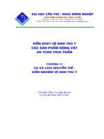 Giáo trình -Kiểm soát vệ sinh thú y các sản phẩm động vật - An toàn thực phẩm-chương 12 doc
