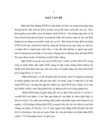 nghiên cứu tình hình bệnh đái tháo đường, tiền đái tháo đường tại xã phú hải, huyện phú vang, tỉnh thừa thiên huế năm 2010